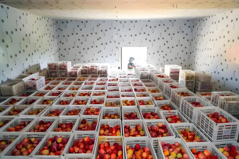 3ebc015a-bbe1-4742-b4fa-191889ead99c