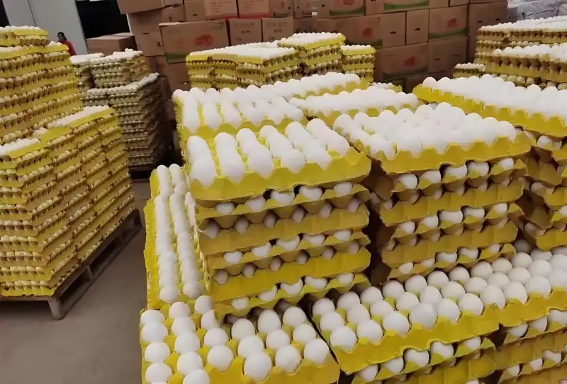 ebe9100f-b703-43a0-99b7-24832244b842